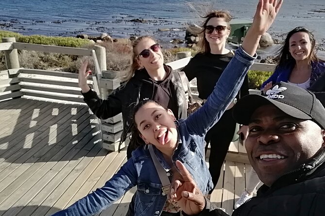 Private lovely journey to Penguins-Cape point-Cape of good hope - Boulders Beach Penguin Colony: how to use your one hour