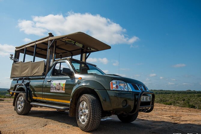 Private Morning Game Drive from Hazyview l Kruger National Park - Key highlights before you go