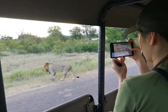 Private Morning Game Drive from Hazyview l Kruger National Park - The game drive itself: how guides turn road time into sightings