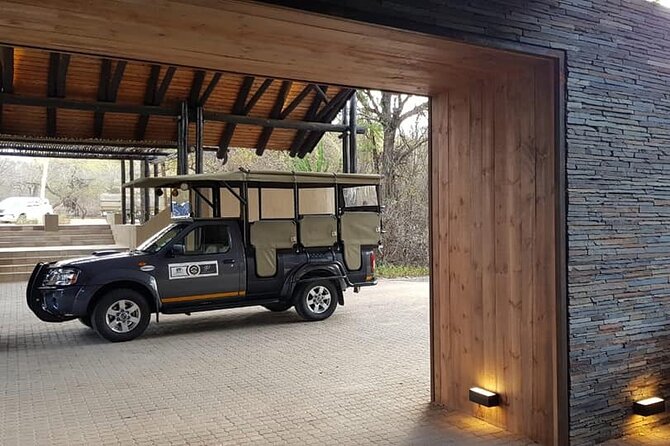 Private Morning Game Drive from Hazyview l Kruger National Park - What you might see: big cats, birds, and the morning odds