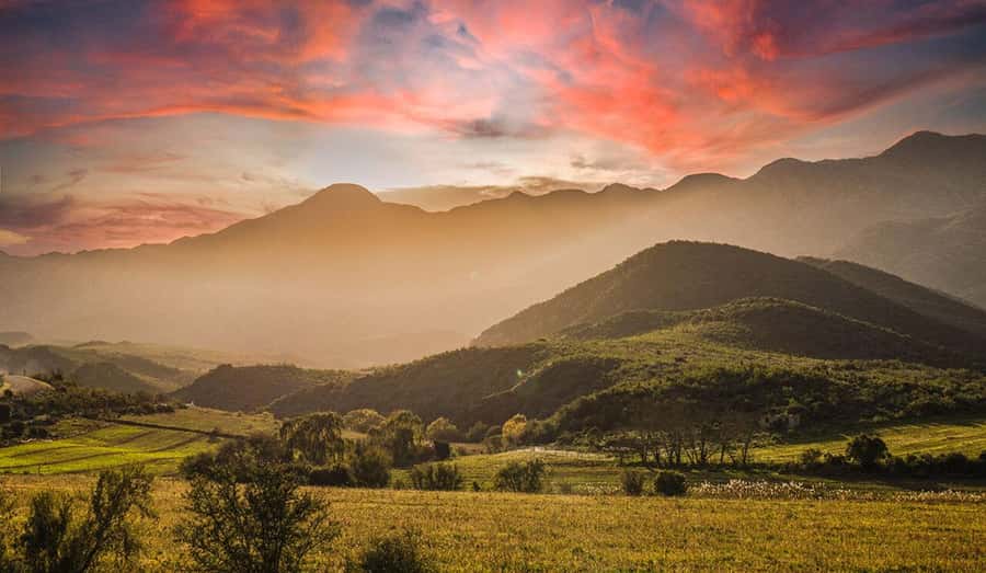 Private Oudtshoorn Full Day Tour - Pickup from George, Plettenberg Bay, or Knysna, Then Outeniqua to Oudtshoorn