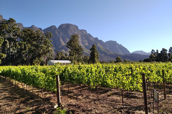 Private Package to Finest Vineyards - Stellenbosch pickup - How to personalize your route without overthinking it