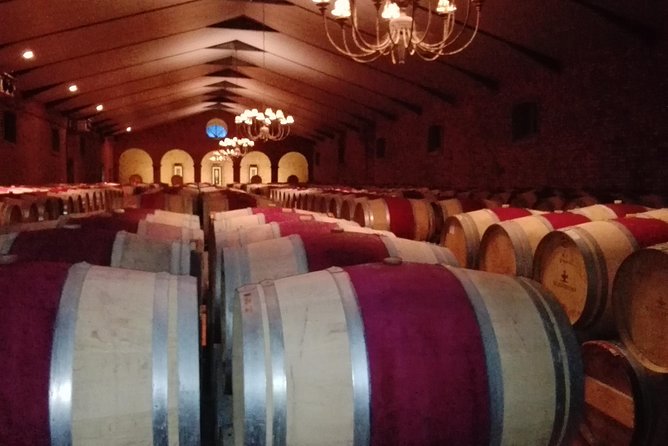 Private Package to Finest Vineyards - Stellenbosch pickup - Stop 1 L’Avenir: 5 cheeses, 5 wines, and a view worth pausing for