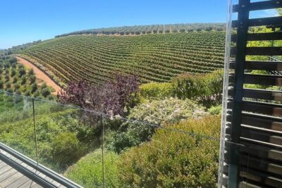 Private/Personalized Full Day Wine Tasting Tour Cape Winelands