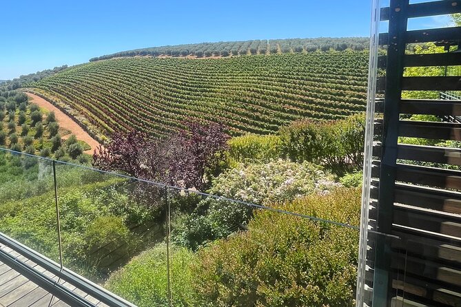 Private/Personalized Full Day Wine Tasting Tour Cape Winelands - Morning options: breakfast first, or straight into serious tasting