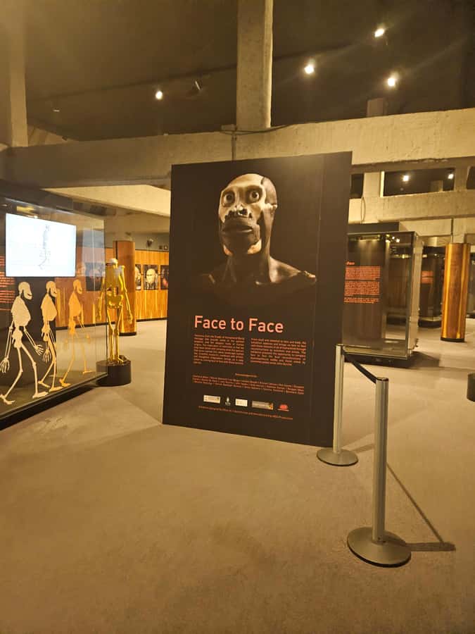 Private Rhino and Lion Park, Cradle Caves or Maropeng Museum - Maropeng Museum option: Mrs Ples, modern exhibits, and an underground ride