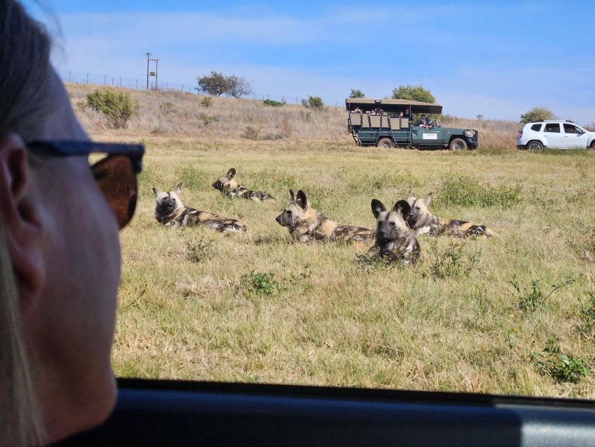 Private Rhino and Lion Park, Cradle Caves or Maropeng Museum - Price and value: what you pay, what you add, and what you get