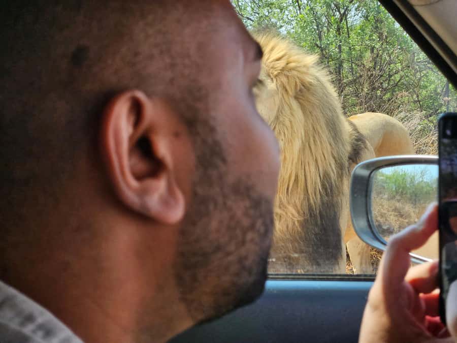 Private Safari Tour: Pilansberg National Park Big 5 - Why a private Pilansberg Big 5 safari feels different