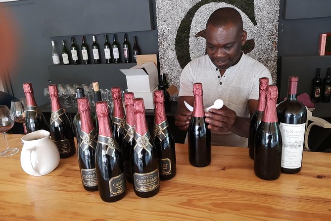 Private Stellenbosch, Franschhoek Paarl Wine Tour from Cape Town - Paarl main street, Afrikaans Language Monument, and another round of wine time