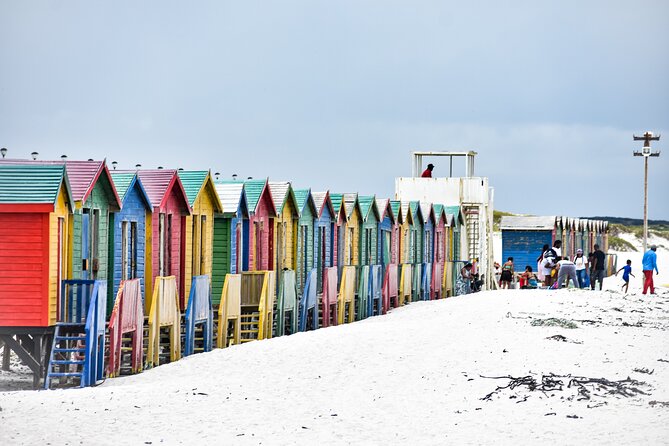 Private Tour Cape of Good Hope & Penguins Sightseeing Full day - Cape Point Nature Reserve: 45 minutes that need a strategy