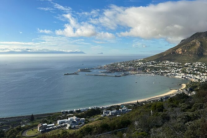 Private Tour Cape of Good Hope with Penguins - Stop 1, Boulders Beach Penguin Colony (About 1 Hour)