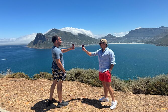 Private Tour: Cape Peninsula & Penguin Beach, Cape Point & more - Price and Value: What You Pay For, What You Should Budget
