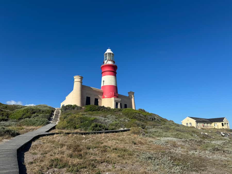 Private Tour: Cape Town to Cape Agulhas where 2 Oceans Meet - Private van from Cape Town: smooth pickup, long drive, real comfort