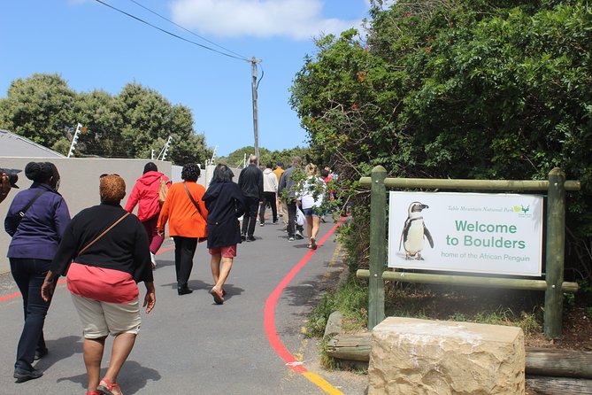 Private Tour from Cape Town To Cape of Good Hope Penguins Plus Wine Tasting F/D - Chapman’s Peak Drive: 114 curves, scenic stops, and whale season odds
