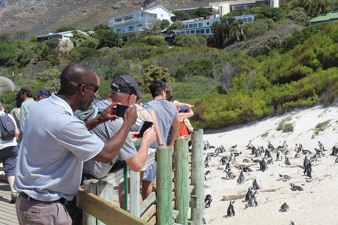 Private Tour from Cape Town To Cape of Good Hope Penguins Plus Wine Tasting F/D - The Cape of Good Hope Nature Reserve: fynbos walking, baboons, and birds as your side quest