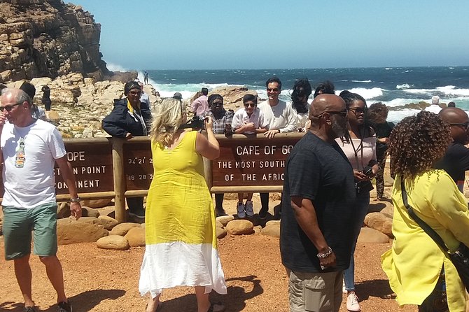 Private Tour from Cape Town To Cape of Good Hope Penguins Plus Wine Tasting F/D - Boulders Beach Penguins: how to make the most of 30 minutes