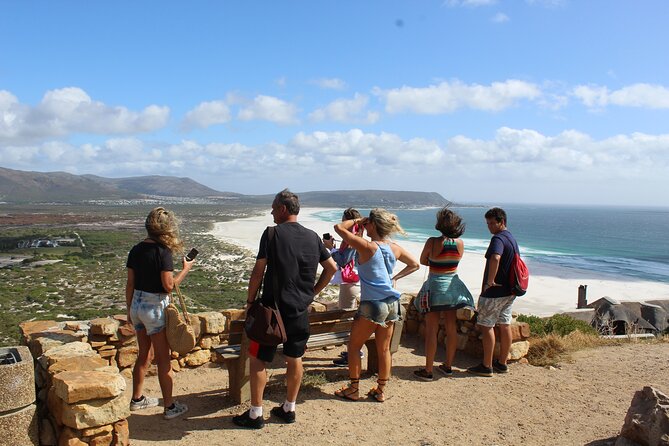 Private Tour from Cape Town To Cape of Good Hope Penguins Plus Wine Tasting F/D - Hout Bay: harbor life, fish-and-chips energy, and the seal connection