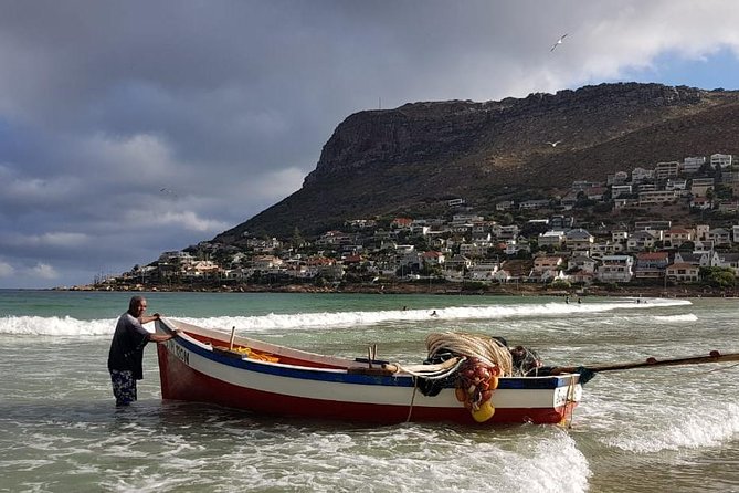 Private Tour Of Penguins, Cape Of Good Hope & Peninsula. - Cape of Good Hope and Cape Point: Endemic Flora, Off-the-Beathen-Track Walking, and a Two Oceans Lunch