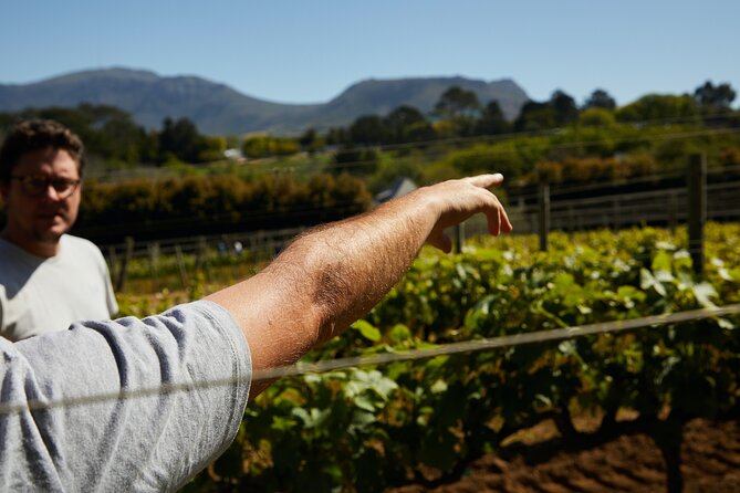 Private Tour of Top 5 Stellenbosch Wineries From Cape Town - Spier Wine Farm (Since 1692) Plus Art That Adds a Different Kind of Interest