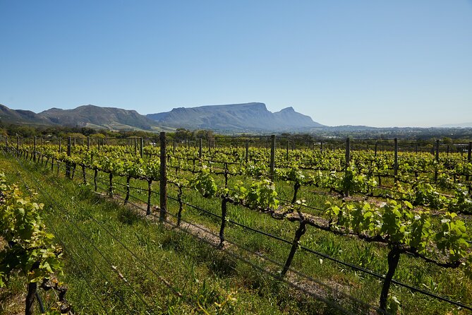 Private Tour of Top 5 Stellenbosch Wineries From Cape Town - Delaire Graff Estate: Terroir Built on Mountain Slopes and Sea Breeze