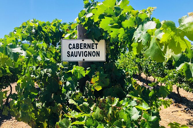 Private Tour of Top 5 Stellenbosch Wineries From Cape Town - Waterford Estate: Start With the Helderberg Mountain Views and a Cellar You Can See