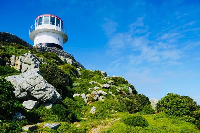 Private Tour: Penguins, Cape Point and Cape of Good Hope - Seal Island boat trip: stay aboard, spot the seals, watch the weather