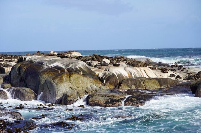 Private Tour: Penguins, Cape Point and Cape of Good Hope - Cape Point and the lighthouse choice: hike or Flying Dutchman funicular