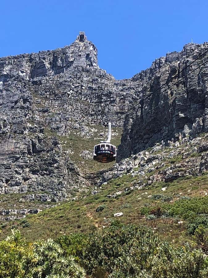 Private Tour: Robben Island, City Tour and Table Mountain - The mid-day Cape Town guided hour: where your guide ties it together