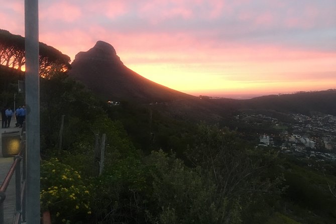 Private Tour: Table Mountain, Penguin Colony & Cape of Good Hope incl. Park Fees - Noordhoek Farm Village and the coffee option