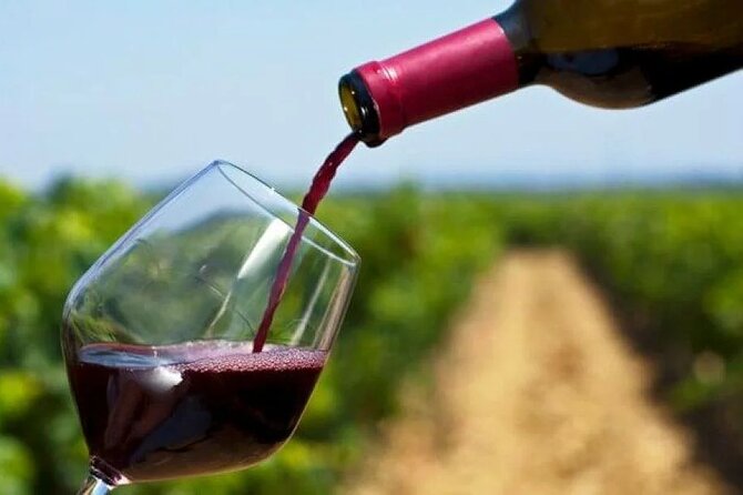 Private Tour to 20 Wine Tasting in Stellenbosch and Franschhoek - Cape Town pickup to Winelands return: Timing and comfort that make the day work