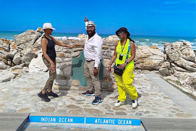Private Tour to Cape Agulhas Full Day from Cape Town - Quick highlights