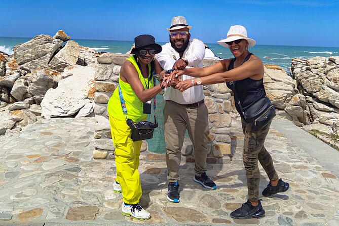 Private Tour to Cape Agulhas Full Day from Cape Town - Price and value for a private excursion from Cape Town