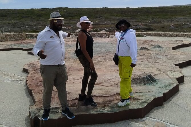 Private Tour to Cape Agulhas Full Day from Cape Town - Who this tour fits best, and who should consider something else