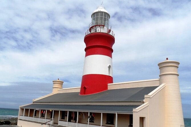 Private Tour to Cape Agulhas Full Day from Cape Town - Hermanus and the Hemel-en-Aarde wineries: whales and lunch with a view