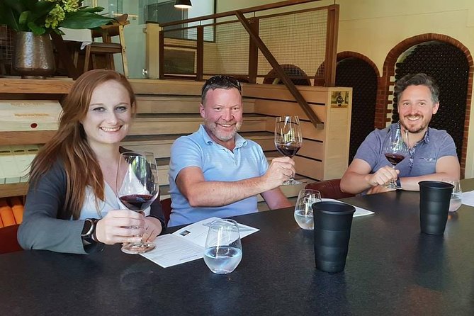 Private Tour with Wine Expert to Cape of Good Hope & Constantia Wine Region - Why this 1-day Cape Town plan is so satisfying