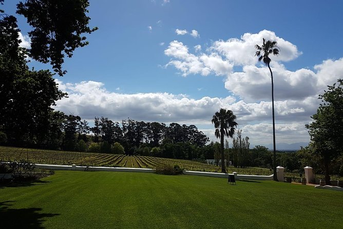 Private Tour with Wine Expert to Cape of Good Hope & Constantia Wine Region - Private wine expert guidance in Constantia (and why it changes the tasting)