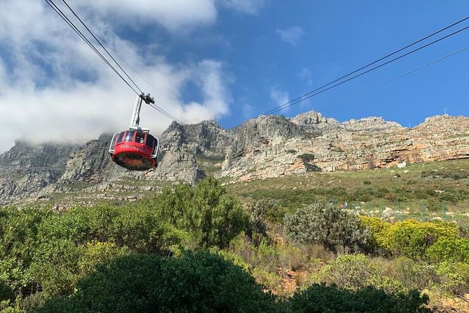 Private Tours in Cape Town - Why This Private Cape Town Tour Feels Right for a Group of 1 to 6