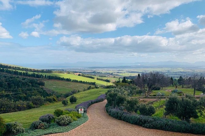 Private Tours in Cape Town - Stellenbosch Wine Route: What a 7-Hour Wine Day Actually Means