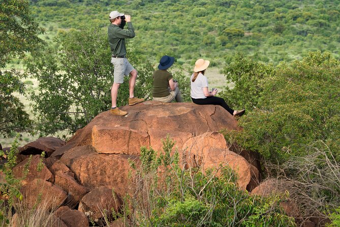 Private Ultimate Pilanesberg Safari from Johannesburg - Pilanesberg Game Drives From Johannesburg, Without the Headache