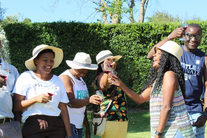 Private Wine tasting Cape Town Wineries Stellenbosch Franschoek Paarl full Day - Tips to make the most of an 8-hour tasting day