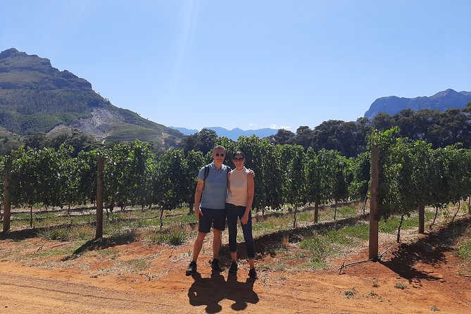 Private Wine Tour of Stellenbosch, Franschhoek and Paarl - What You Get: Guide, Tastings, and Private Transportation