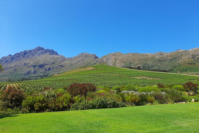 Private Wine Tour of Stellenbosch, Franschhoek and Paarl - Stellenbosch Stop: Terroir, Food and Wine Energy, and Optional Longer Time