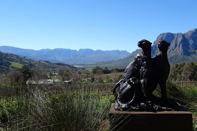 Private Wine Tour with Wine Expert to Stellenbosch-Franschhoek Wine Regions - Entering the Winelands Machine: How This 8-Hour Day Really Feels
