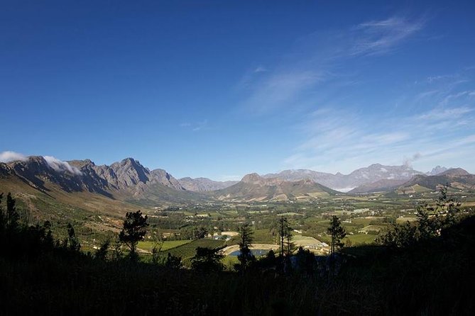 Private Wine Tour with Wine Expert to Stellenbosch-Franschhoek Wine Regions - Stop by Stop: What the Four Winery Visits Are Like