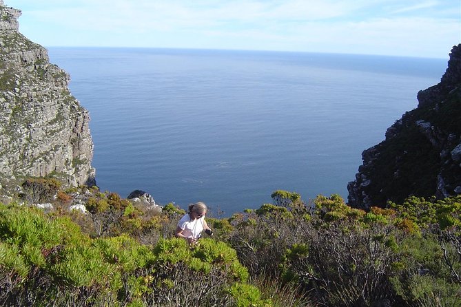 Privately guided Table Mountain hike - Key highlights from this Table Mountain hike