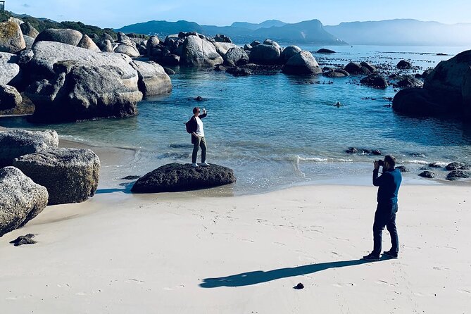 Revel in the Cape Peninsula (Penguins & Cape of Good Hope) - Price and Value: What You’re Paying For