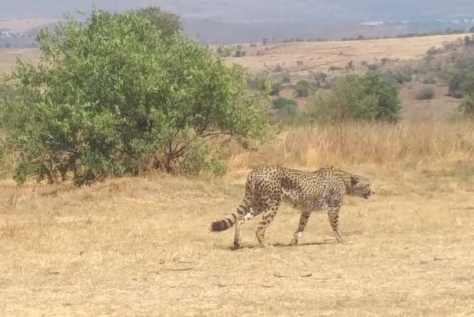 Rhino & Lion Nature Reserve - What to Bring (So You Don’t Spend the Day Buying Necessities)