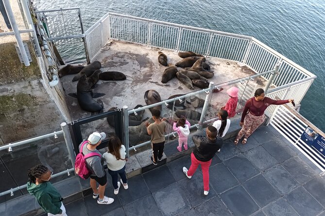 Robben Island Cape Of Good Hope Penguins Including Ferry Ticket - Cape Point: cliffs, bays, marine life claims, and the funicular option