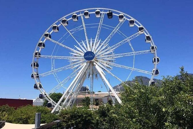 Robben Island Guided Tour & Two Ocean Aquarium with tickets - Should you book the Robben Island and Two Oceans combo tour?