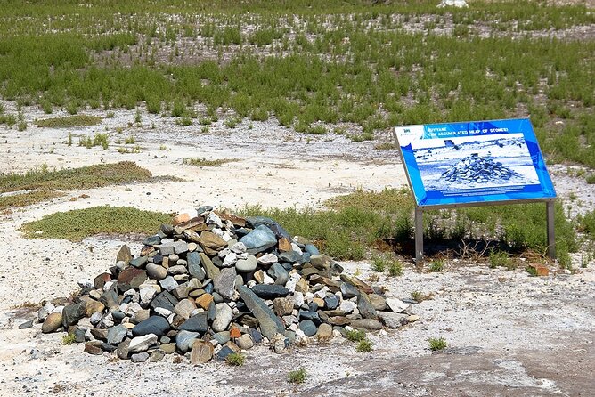 Robben Island Half Day Tour with Pre-Booked Ticket(s) - Stop 4: Murray’s Bay Harbour, Then Back to Cape Town